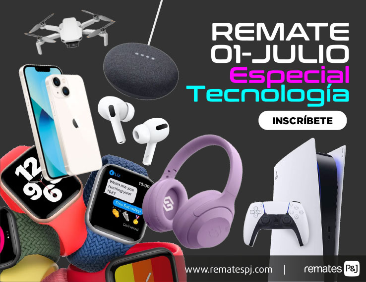 productos y lotes para remates online