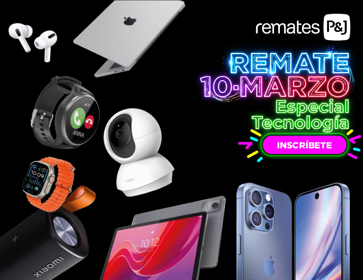 productos y lotes para remates online